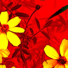 ddos攻击防御手段